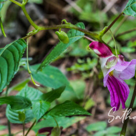 500px Photo ID: 128217365 -