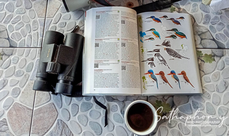 bird checklist at Chiang Dao