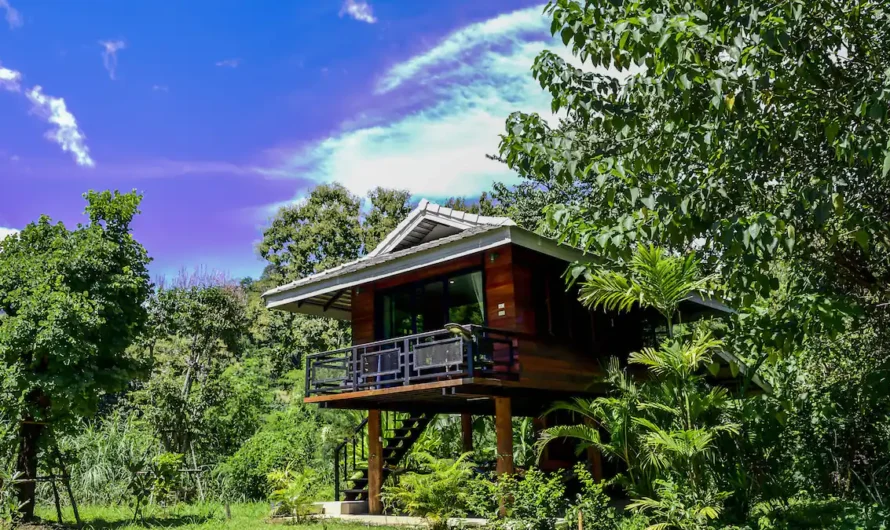 Birding-Friendly Accommodation in Chiang Dao