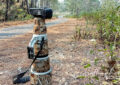 Telephoto lens setup for bird photography in Chiang Dao forest, Thailand