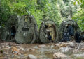 Bird photography hides set up by a stream in Chiang Dao forest, Thailand