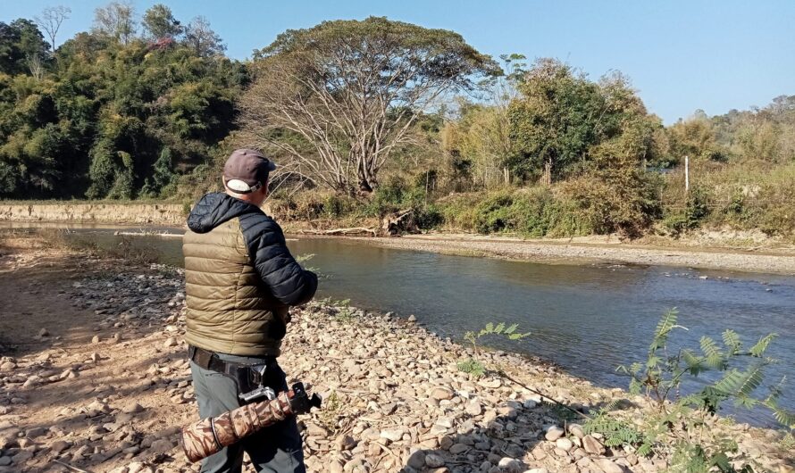 Birding Locations in Chiang Dao