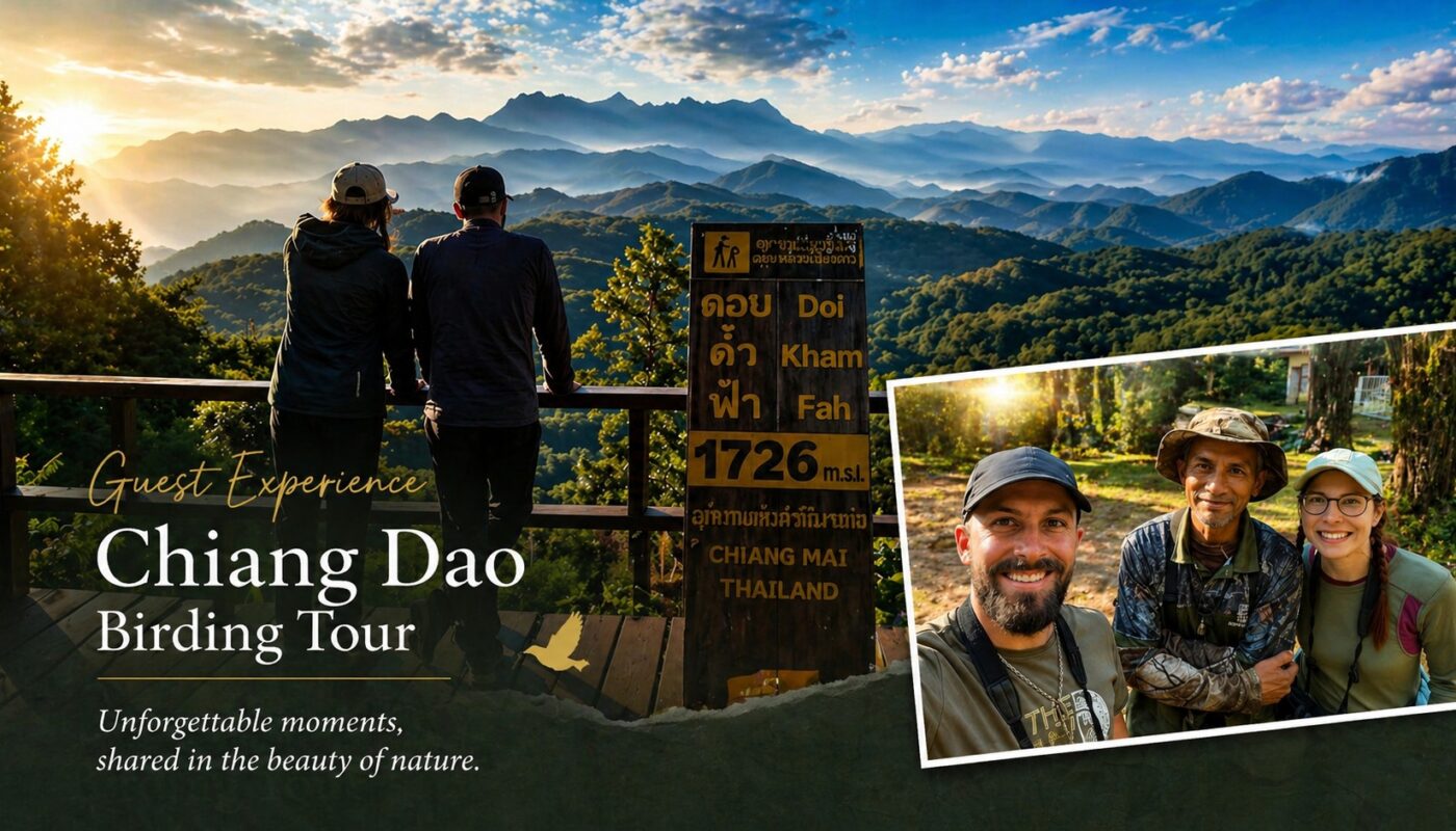 Chiang Dao birding tour guest experience with local guide Suntan mountain viewpoint northern Thailand
