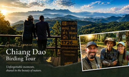 Chiang Dao birding tour guest experience with local guide Suntan mountain viewpoint northern Thailand