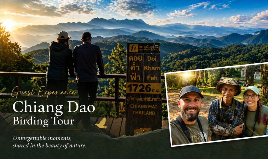 A Full-Day Birding Experience in Chiang Dao