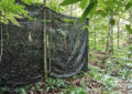 bird photography hide at Chiang Dao Hut Pond in forest with camouflage screen setup