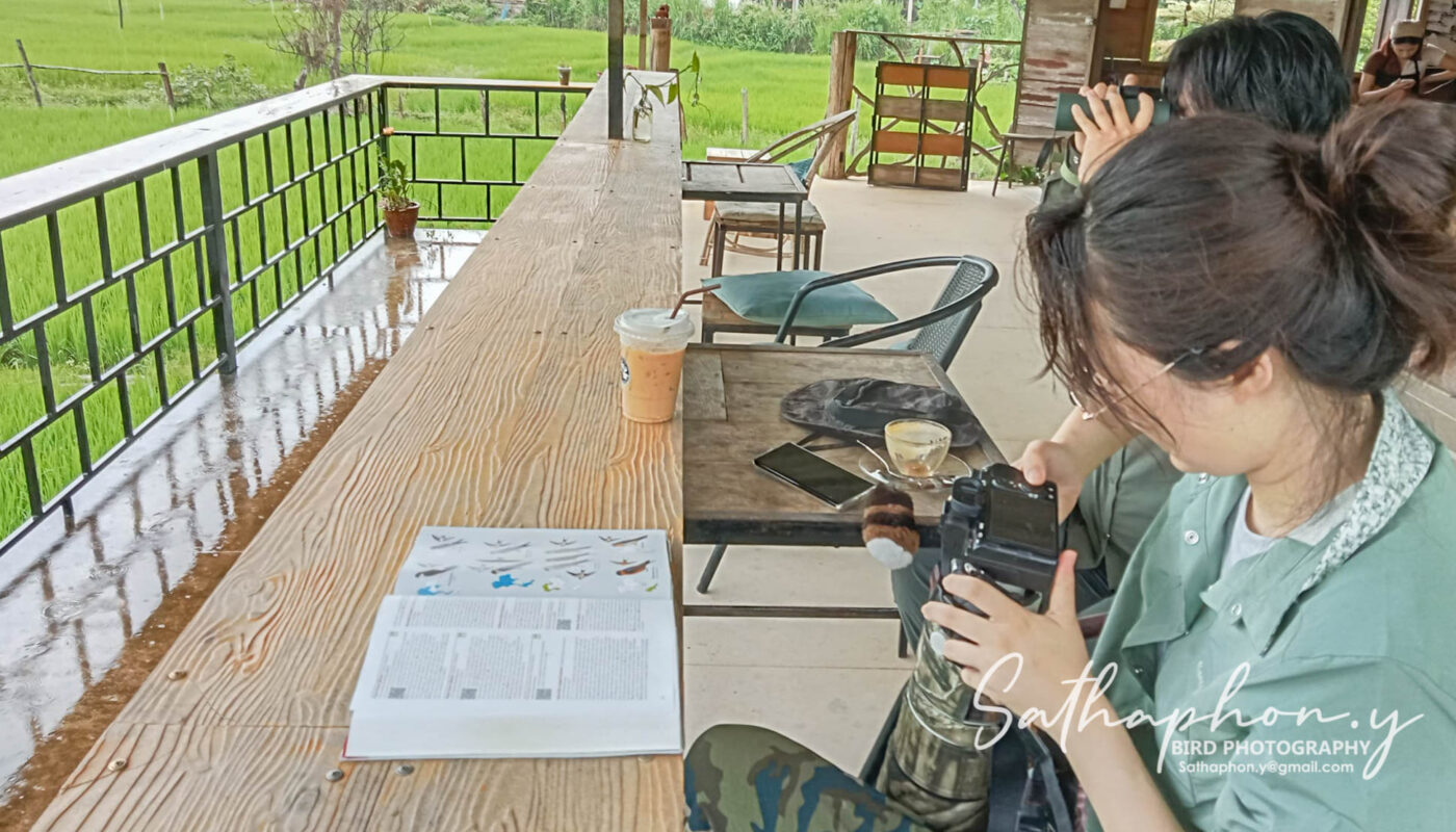 nature travel chiang dao birdwatching photography cafe thailand