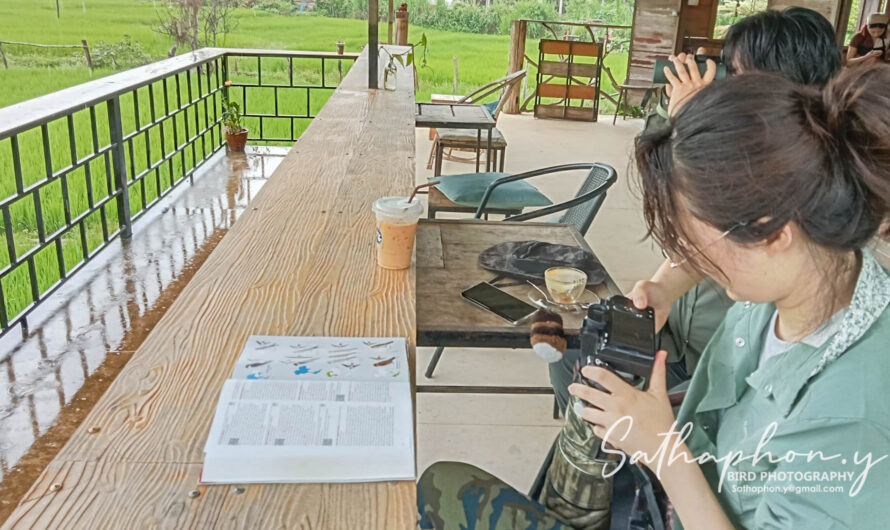 Chiang Dao Travel Guide for Nature Lovers