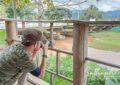 birdwatching experience Chiang Dao Thailand nature photography riverside