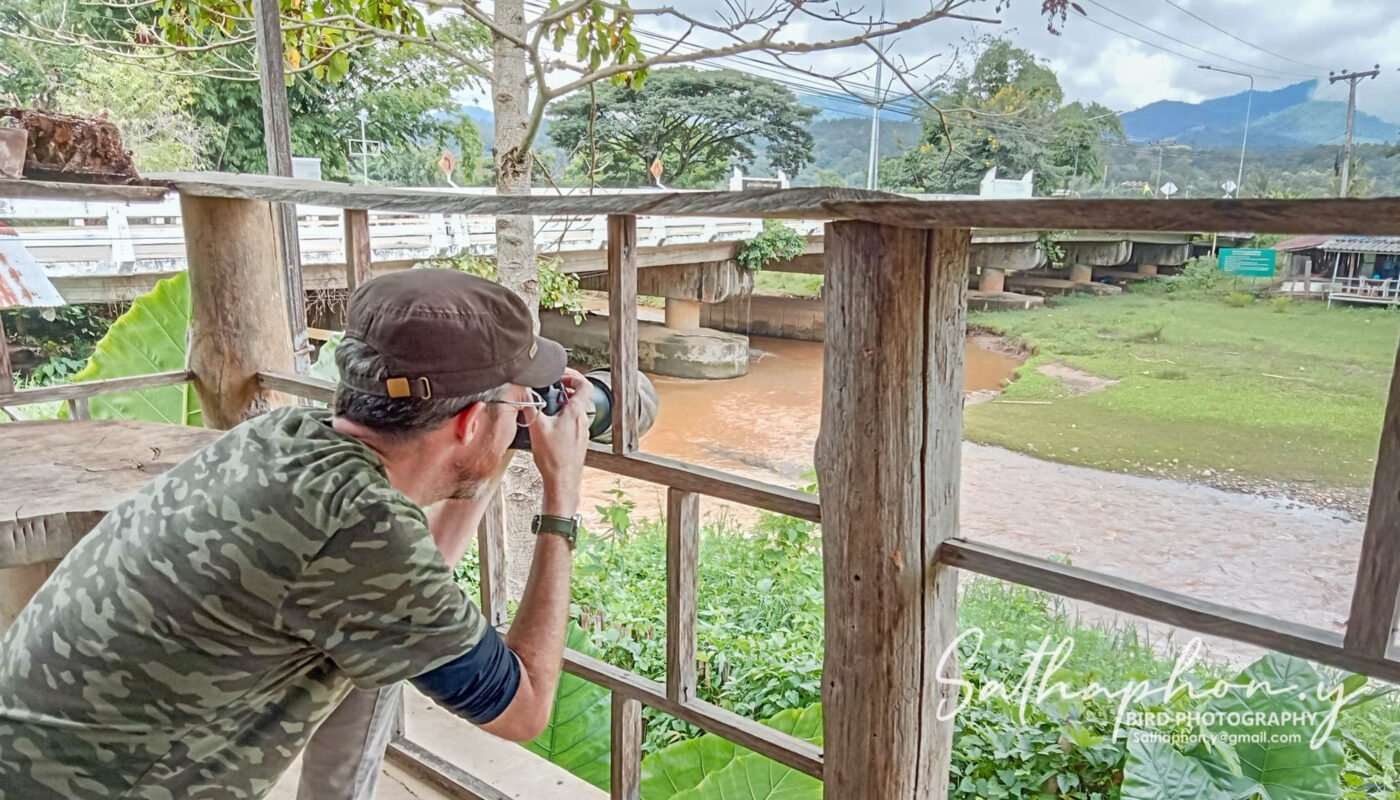 birdwatching experience Chiang Dao Thailand nature photography riverside