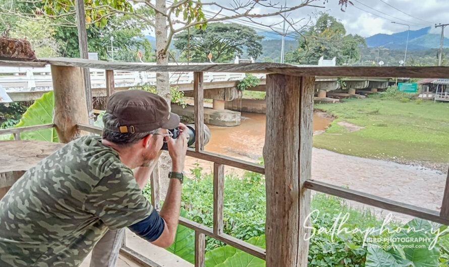 Chiang Dao Nature Guide: Beyond Birding