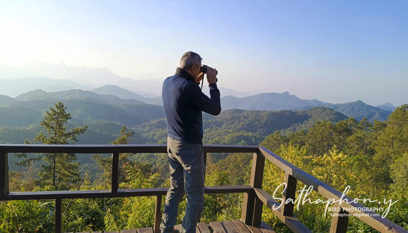Full day bird watching tour in Chiang Dao forest with birdwatchers using binoculars in misty trail