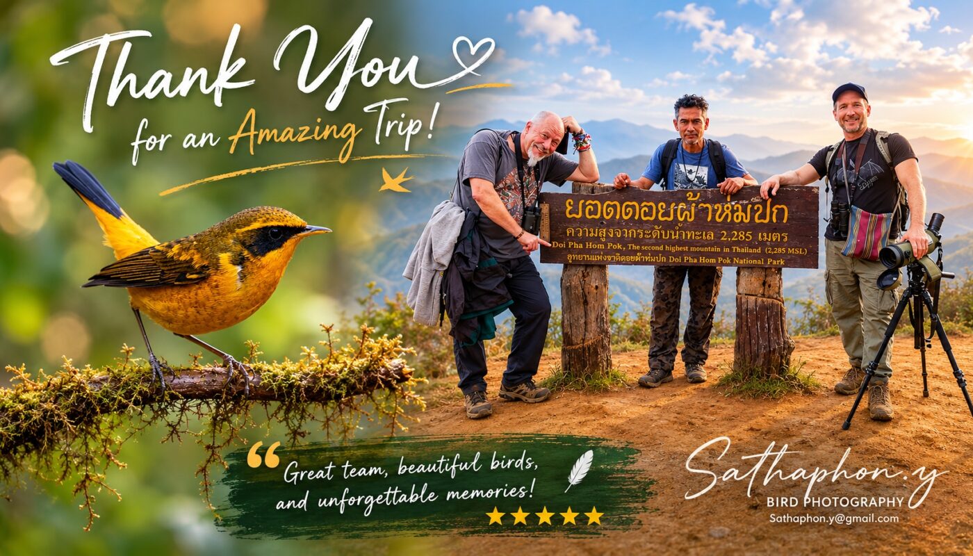 Birdwatching clients with local bird guide at Doi Pha Hom Pok in Northern Thailand alongside a colorful bird photograph from Chiang Dao birding tour.