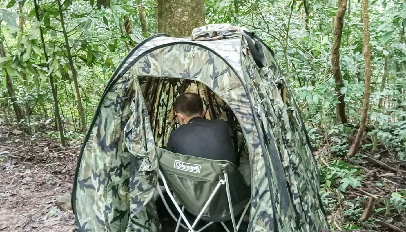 Wild bird photography hide setup in Chiang Dao forest, Northern Thailand