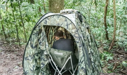Wild bird photography hide setup in Chiang Dao forest, Northern Thailand
